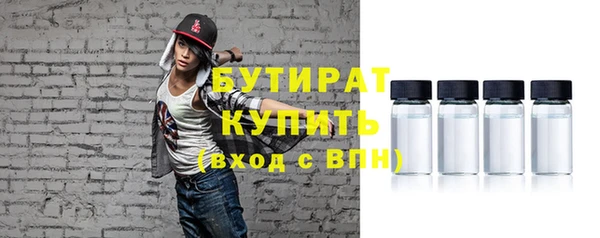 индика Нязепетровск