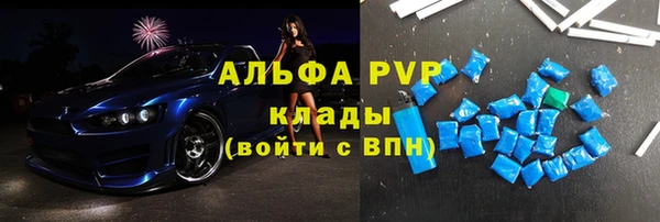 индика Нязепетровск