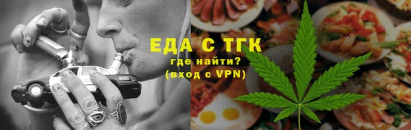 индика Нязепетровск