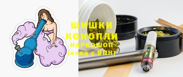 сатива Арсеньев