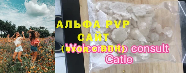 индика Нязепетровск