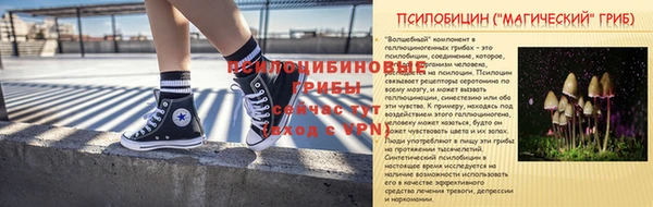 ГАЛЛЮЦИНОГЕННЫЕ ГРИБЫ Нягань